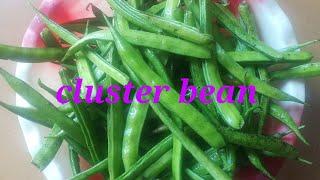 Tasty cluster bean ki bhujia/ gwar fali ki bhujiya