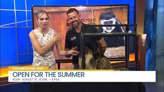 Lenny The Sloth Stops By  | Wild Wednesday