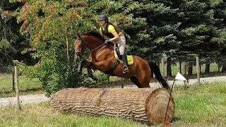 Ponykamp 2018, Elise, Cross, Gerrit