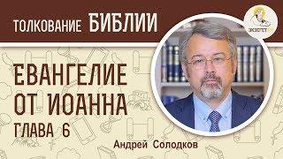 Евангелие от Иоанна. Глава 6. Андрей Солодков. Новый Завет