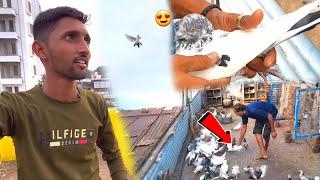 Sunny Bhaiya ne Naya Kabootar PakdeKar Lo Shauk  || Try To Catch Pigeon️