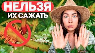 ПОСАДИЛ И ПОЖАЛЕЛ! 8 растений которые превратят дачу в АД