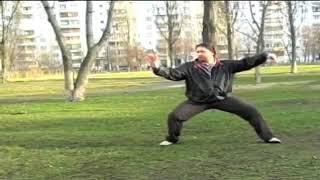  Тайцзыцуань гармонический поток стиль Чэнь 24 | Garmonic flow Tai Chi style Chen 24