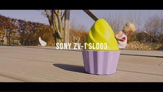 The Best Thing | Sony ZV-1 (SLOG3) Cinematic Footage