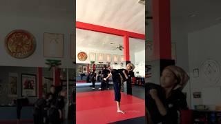Side Kick Study and Exploration. Also, did you VOTE today. 🫡🩵 #MartialArts #Shorts #Kicks #Kenpo
