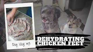 DIY Homemade Dog Food - Dehydrating Chicken Feet