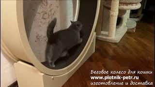 Беговое колесо для кошек. Кототрек-тренажер открытого типа