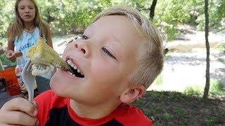 Bluegill Catch and Cook at the Creek