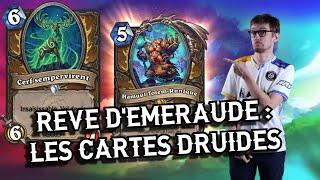 Druide Retourne aux Fondamentaux Dans la Prochaine Extension !