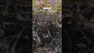 Waktu yang tepat #motivation  #inspiration #quotes #success #rise