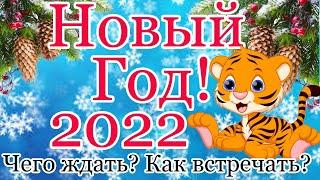 Новый Год 2022. Чего Ждать! Как встречать! Что приготовить! Какие Знаки Зодиака Могут Разбогатеть!