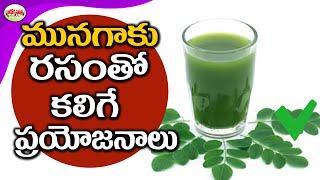 Benefits Of Drumstic Juice | Amazing Health Benefits of Moringa Leaves | Aarogya Sutra.