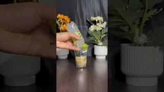 Summer Special Tinto Feni #cocktail #asmr #drink #feni #ytshorts #trending #shortsfeed #shorts