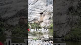 shoot LUCKY STONE #青森屋 #iwate #japan