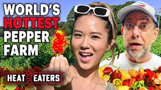 How Hot Ones Legend Smokin’ Ed Currie Grows the World’s Hottest Peppers | Heat Eaters