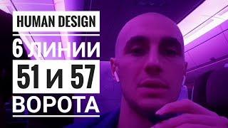 Дизайн Человека 51.6 и 57.6 ворота.  Даниил Трофимов. Human Design