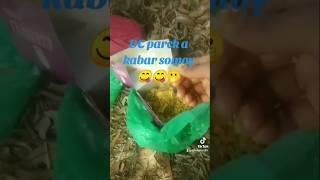 https://vt.tiktok.com/ZS6utWKJs/ #viralvideo #viralvideo #foryou @YouTube @ForYou_7766