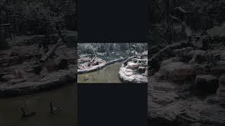 The daily life of Changlong chimpanzee family's father in law and son in law #Throw That Go #Chimpan