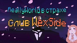 ReallyWorld в страхе от нового бесплатного чита WexSide! Слив рп! кфг под ReallyWorld/SunRise/Mst!!
