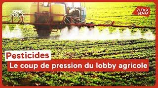 Pesticides : le coup de pression du lobby agricole