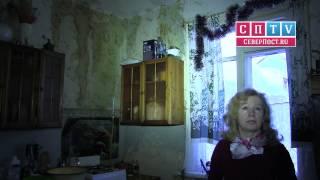 В Мурманске в ветхой деревяшке произошел потоп