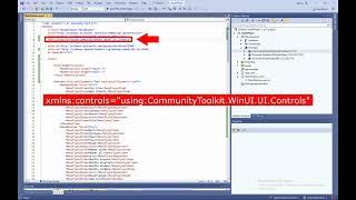 WinUI: How to Add a DataGrid control