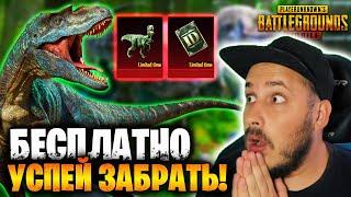 ААА МНОГО ХАЛЯВЫ В ПУБГ МОБАЙЛ  НОВАЯ МЕГА ХАЛЯВА PUBG MOBILE