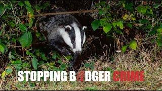 Stopping Badger Crime