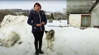 Умирающий поселок. Выпуск М/Ж от 11.06.2019