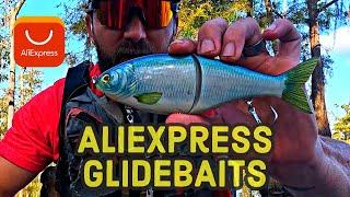 Aliexpress GLIDEBAITS! Are they worth the $$$?