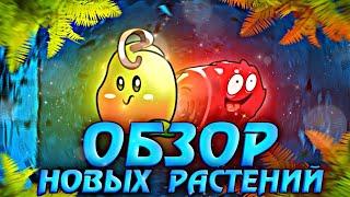 Двойной обзор от Шутяры PvZ! Бобовый Росток и Желейная Клюква (Beansprout) и (Cranjelly)