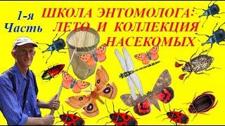 Сбор и Хранение Коллекции Насекомых. ЧАСТЬ 1. Школа Энтомолога. Collections of Insects. Methods.