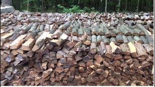 Joe's Premium Firewood inventory as of 09/01/2017