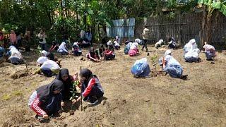 Diinisiasi LPPNU Pamekasan, Ponpes Miftahul Hidayah Sumber Nangka Miliki Kebun Praktik Santri