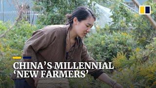 Millions of Chinese millennials become ‘new farmers’ to look for the meaning of life
