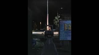 Bushwood Pine Escape from Tarkov