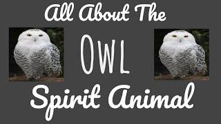  THE OWL SPIRITThe Owl as your Spirit Animal & its Symbolism