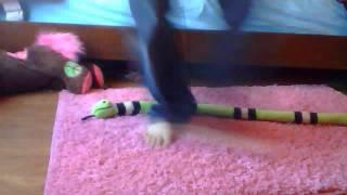 how to Dylan W dance