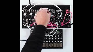 Turning one sequence into three with MultiMod!