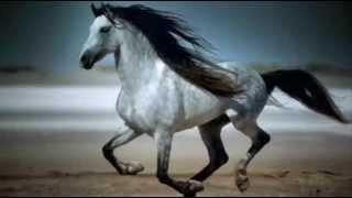 R.E.M. ~ Everybody Hurts