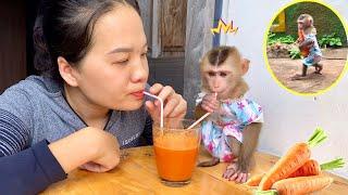 Monkey Linda went to the garden to pick carrots and asked Mom to make carrot juice 1