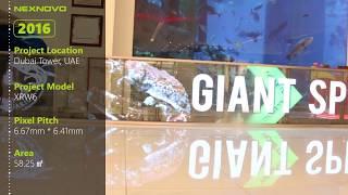 Nexnovo: Let's review our projects around the world. Transparent LED displays are a news solution