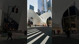 Architectural wonder  Oculus Building   