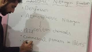 Types of Nitrogen Fixation