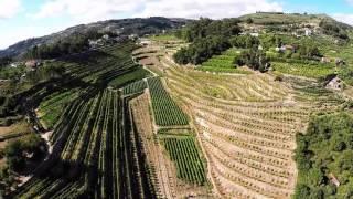 Flight over Douro Valley, Portugal