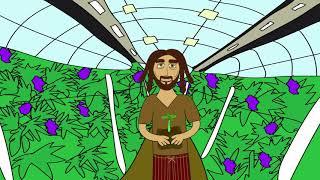 Danky Dan's grow guide: learn how to start seeds. Part 1 of the grow series