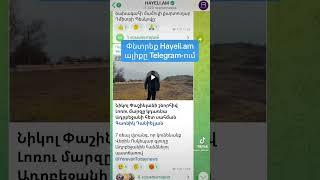 ‼️️Փնտրե՛ք Hayeli.am ալիքը Telegram-ում #hayeliakumb #hayeli #hayeliam #hayastan