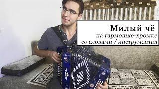 Милый чё - Песня из х/ф "Афоня" - исполнение на гармони