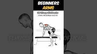 7 Beginners Arms Exercises| How To Build Arms As A Beginner?