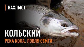 Ловля СЕМГИ в середине сезона, река КОЛА / Atlantic Salmon fly fishing mid-season of Kola river.